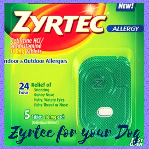 Zyrtec for your Dog