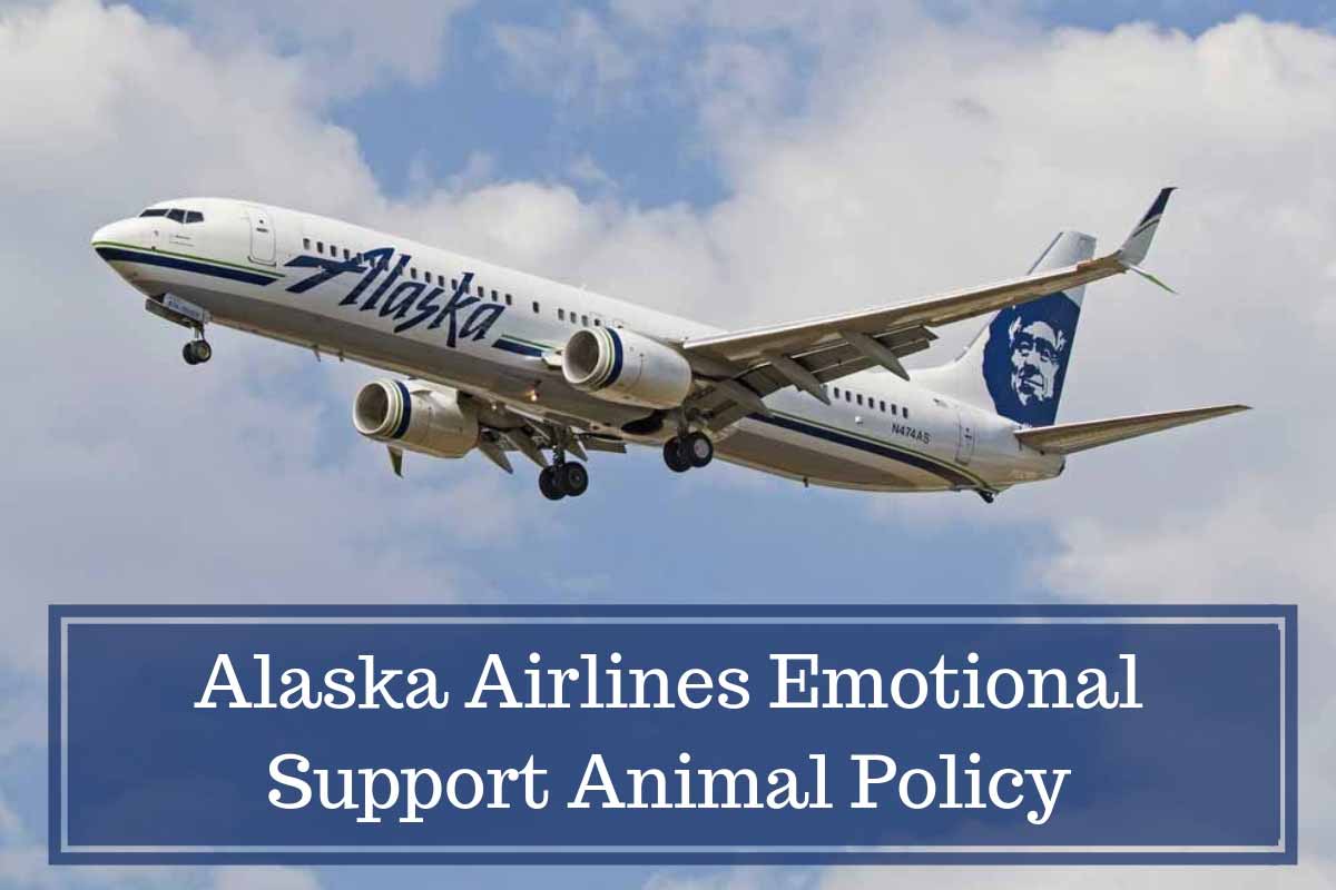 Alaska Airlines Emotional Support Animal Policy