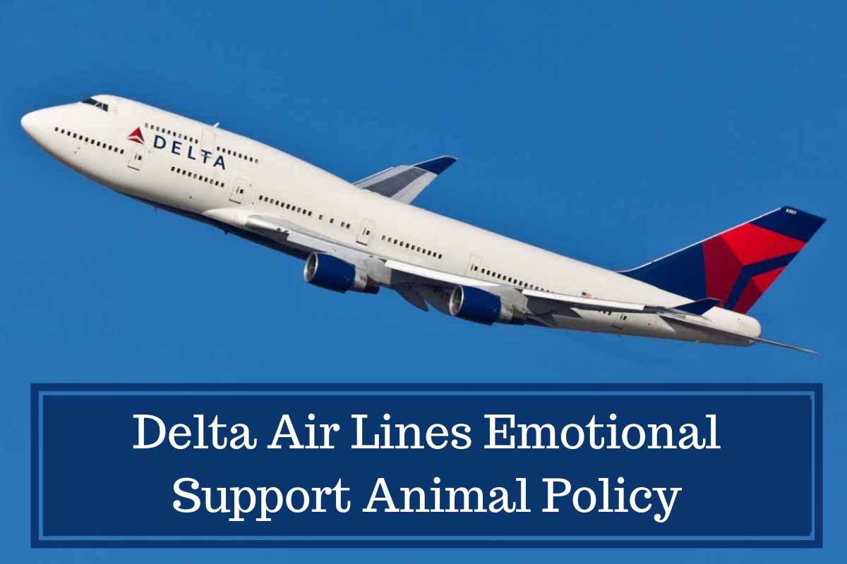Delta-Air-Lines-Emotional-S