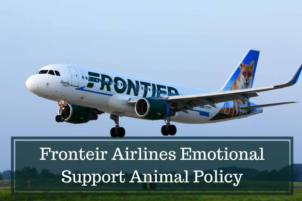 Fronteir Airlines Emotional Support Animal Policy