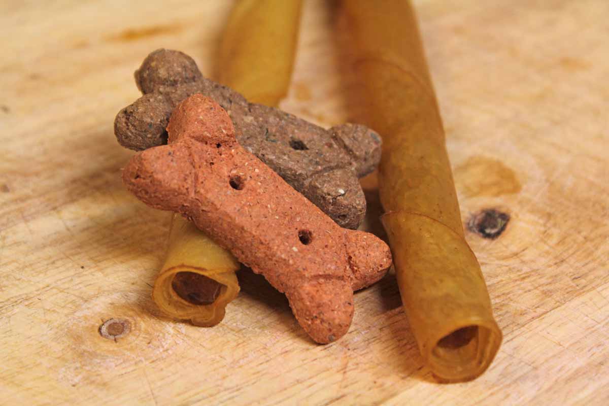 Pet-Treater-Review Pet-Treater-Review
