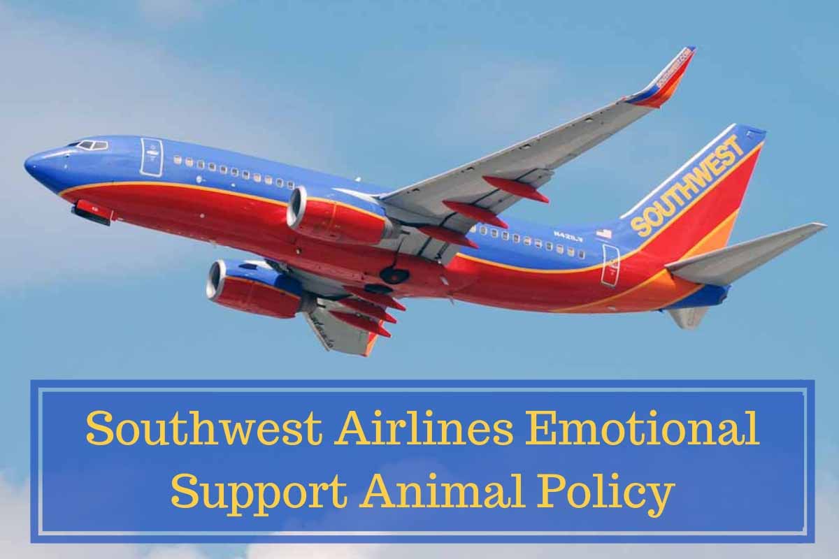 Southwest Airlines Emotional Support Animal Policy Southwest Airlines Emotional Support Animal Policy