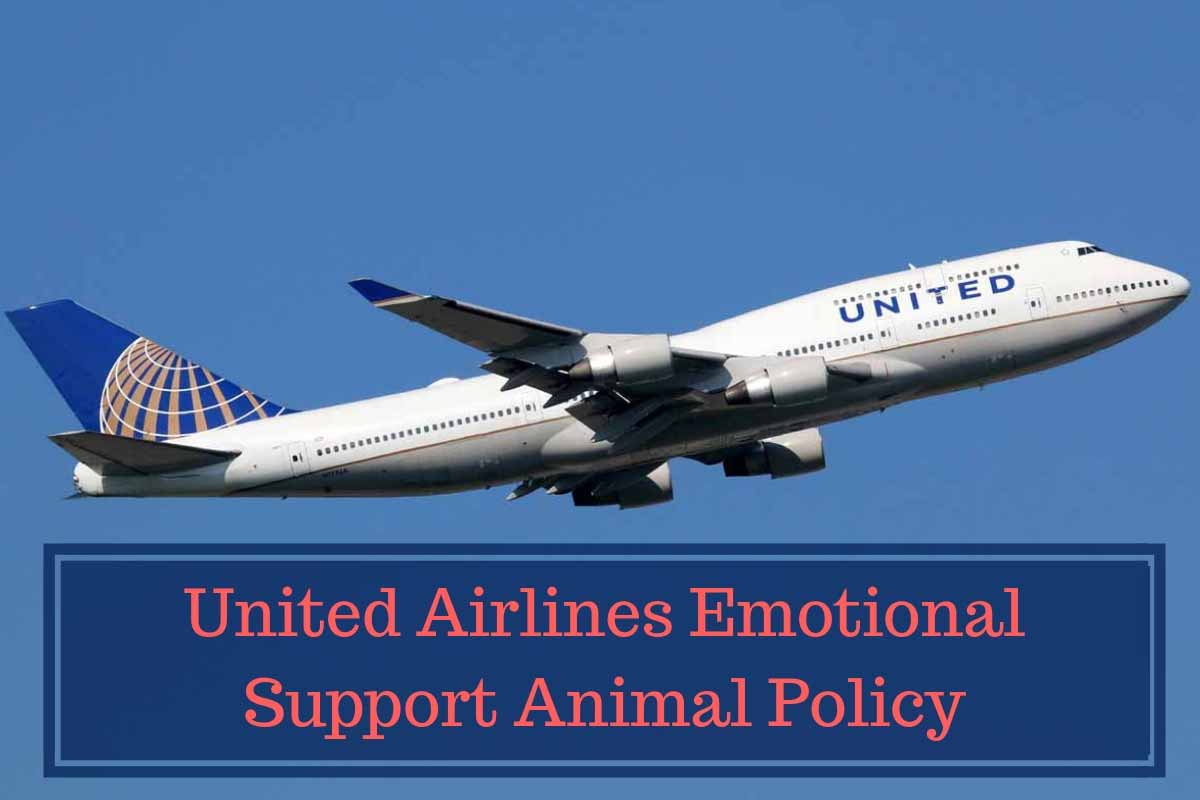 United-Airlines-Emotional-S United Airlines Emotional Support Animal Policy