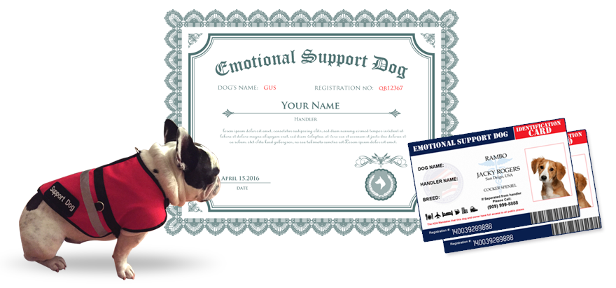 Is Therapypet Org Legit