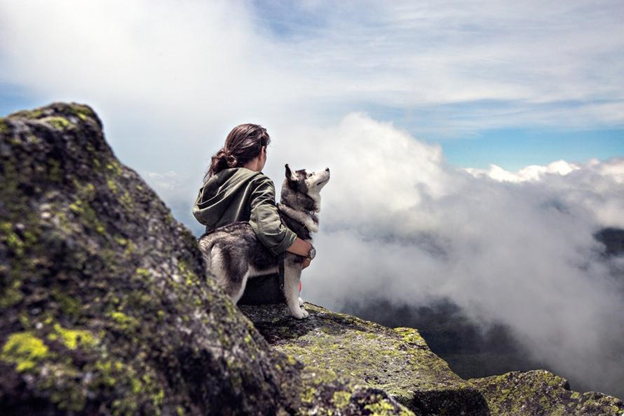 Guy Holding Therapy Animal