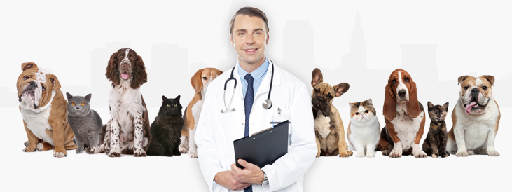 pet animal doctor