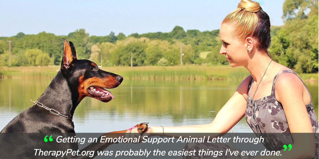 emotional support animal therapist near me