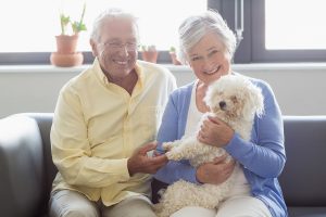Senior couple holding a dog in a retirement home