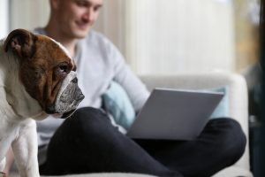 Man Relaxing On Sofa Using With Pet Bulldog Laptop Computer
