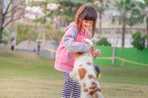 kid-playing-with-dog