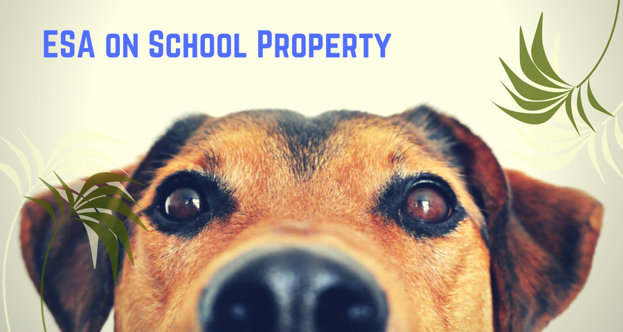 ESA on School Property
