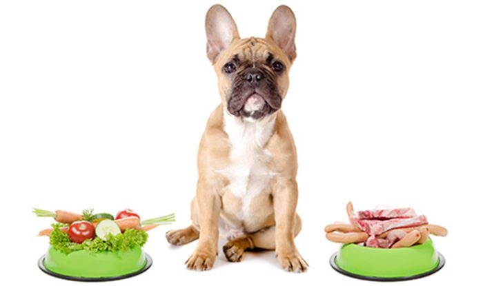 healthy foods for dog