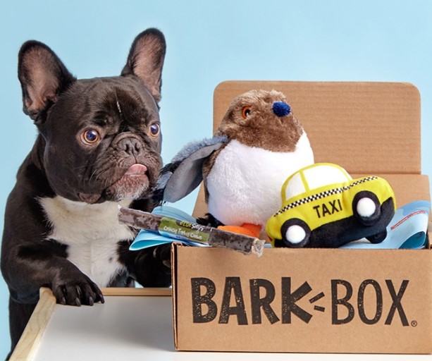 Barkbox Reviews 1 Dog Box Subscription or FAIL? Therapy Pet