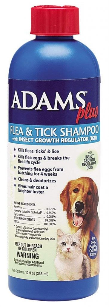 flea medication for dogs
