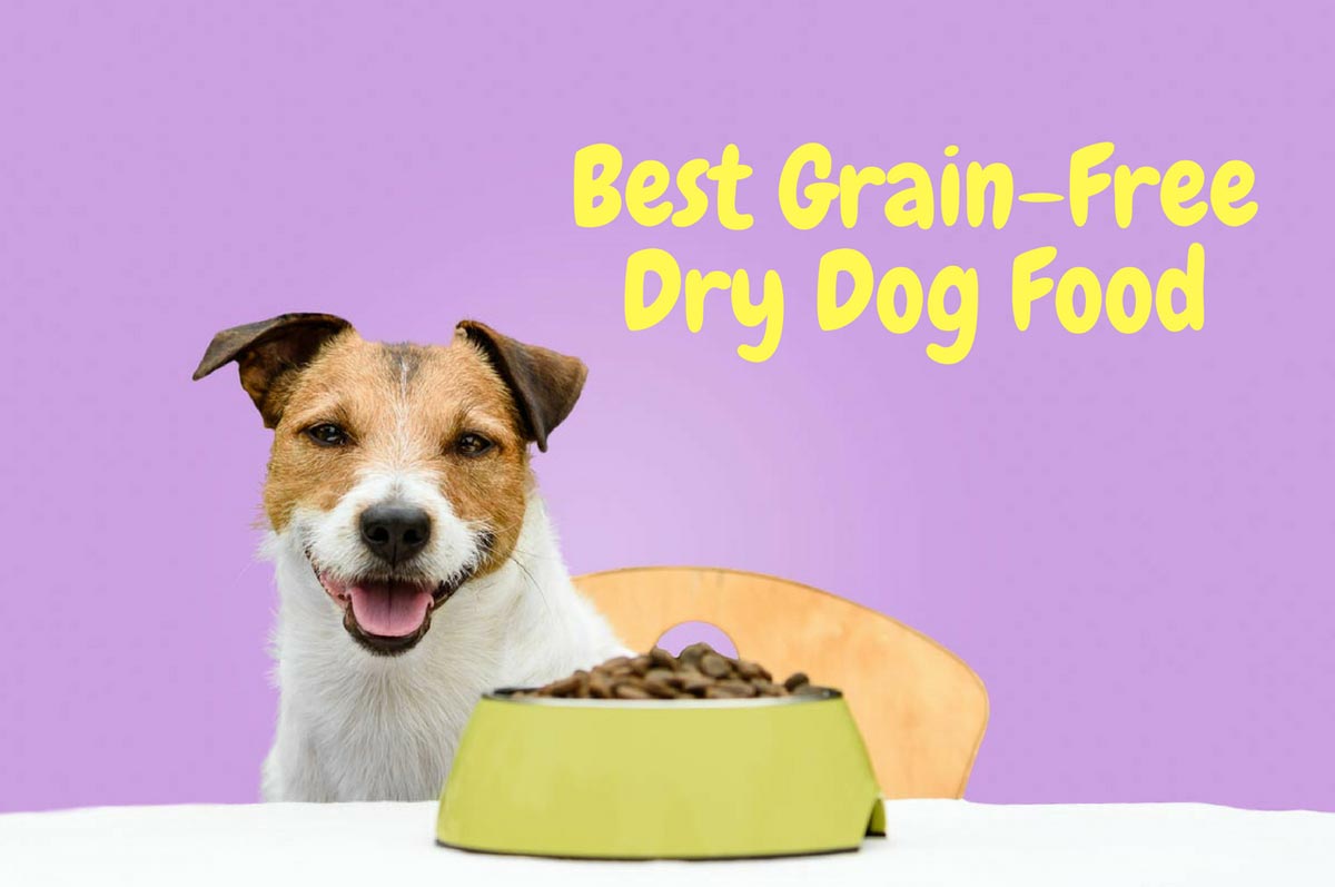 Quick Answer: Grain-Free Dog Food Any Pup Will Love