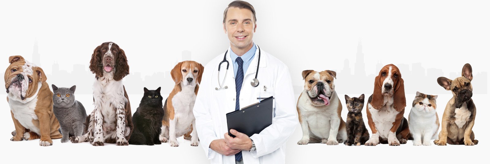 Doctor with Support Animals