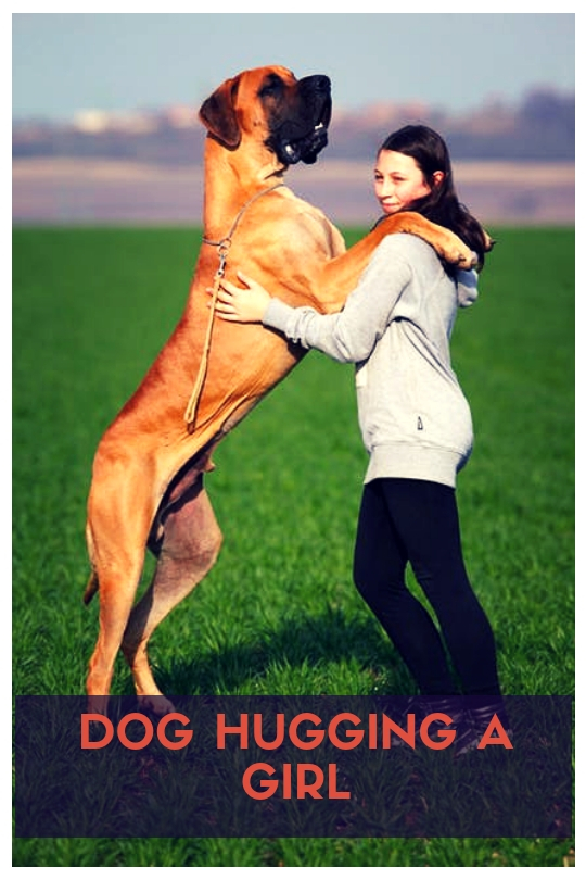 Dog hugging a girl