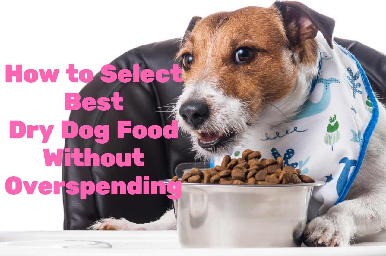 How to Select Best Dry Dog Food Without Overspending?