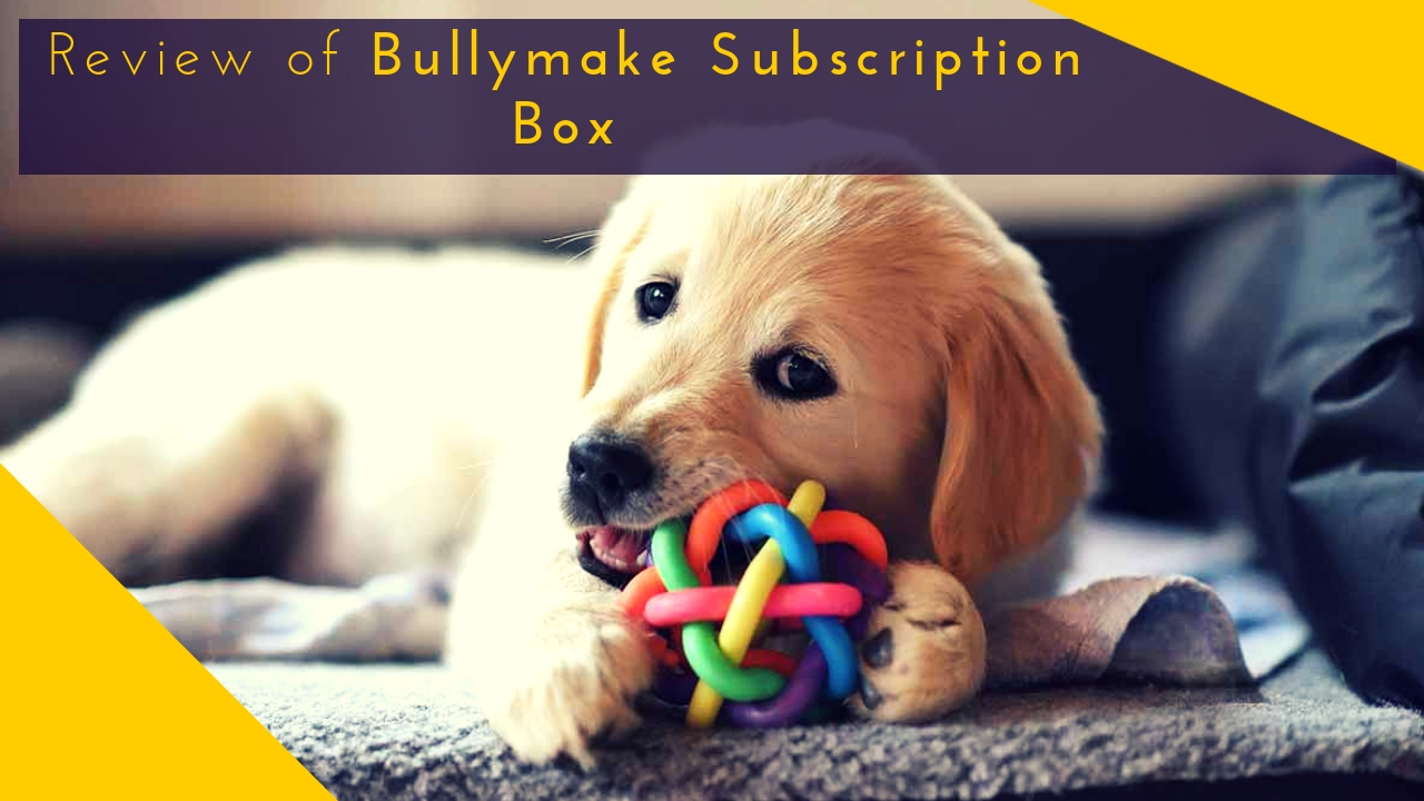 Bullymake Subscription Box Review
