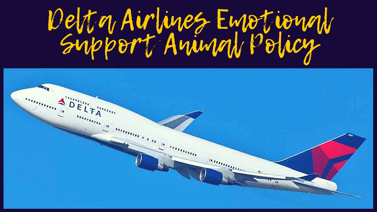 Delta Air Lines Pet Emotional Support Animal Policy