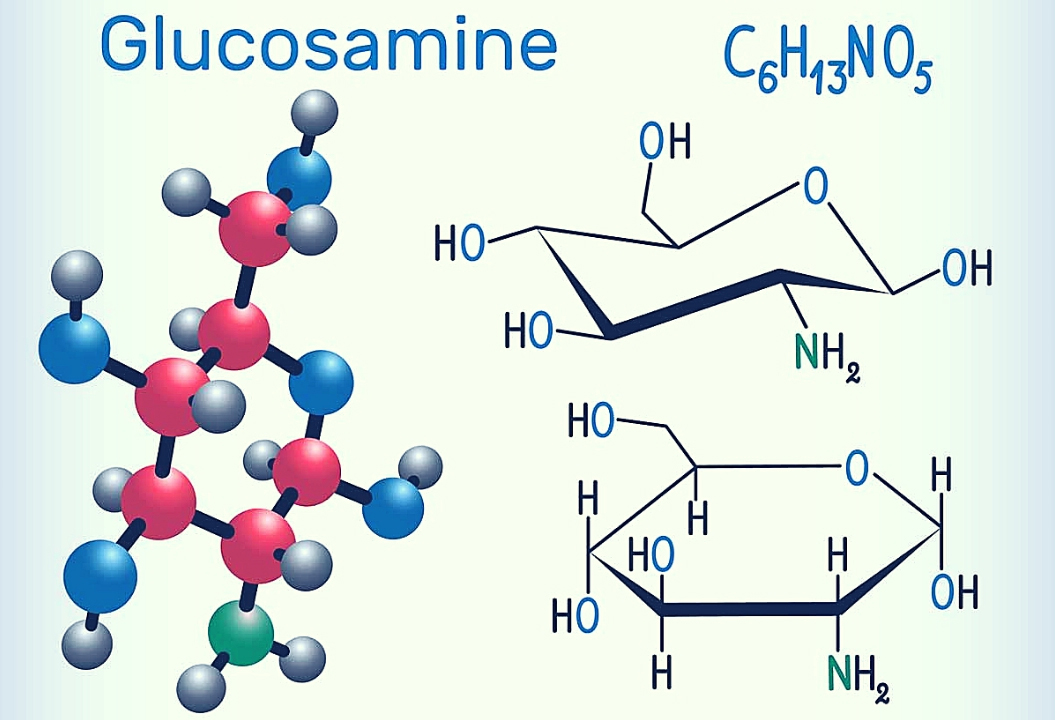 Glucosamine Compound