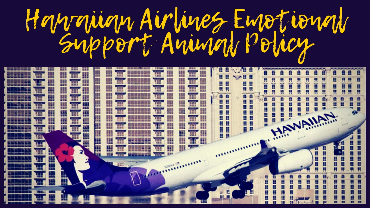 Hawaiian Airlines Emotional Support Animal Policy