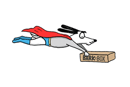 How to Order BarkBox
