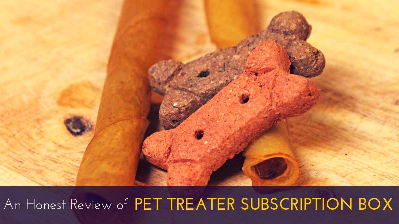 Pet Treater Subscription Box Review