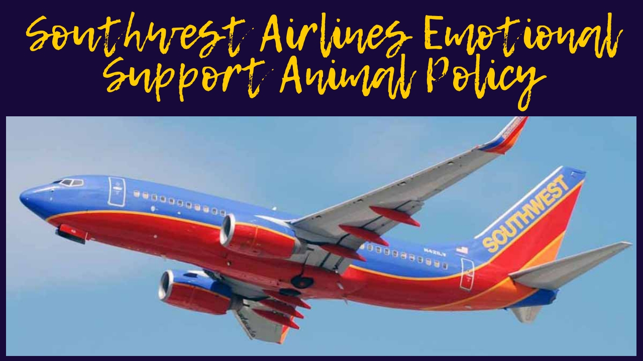 Southwest Airlines Emotional Support Animal Policy