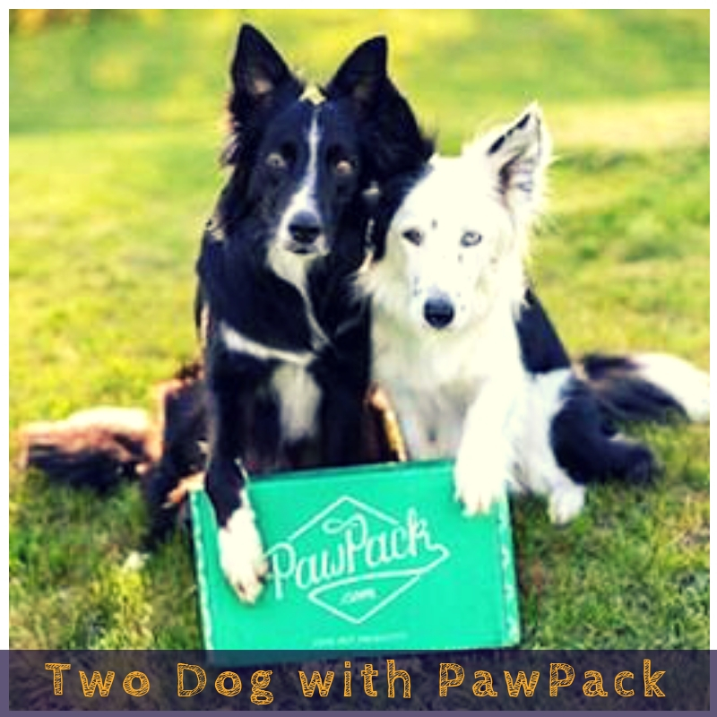 Two Dog with PawPack