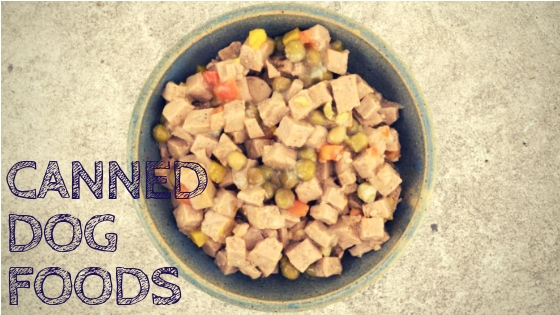 Canned Dog Foods
