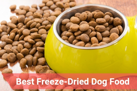 dog food with freeze dried meat