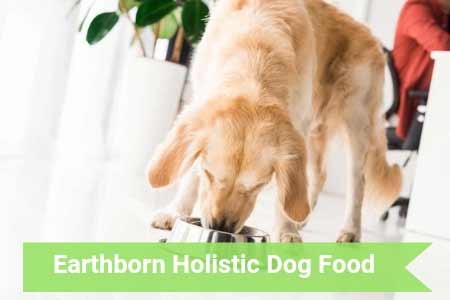 Earthborn Holistic Dog Food