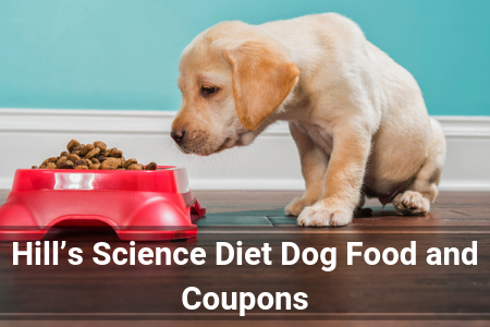 Hill’s Science Diet Dog Food and Coupons