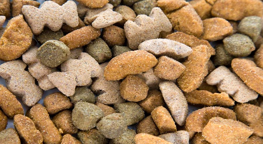 Ingredients and Types of Dog Foods