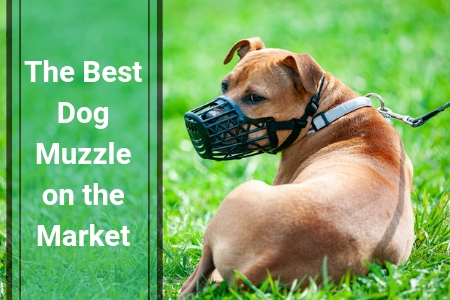 The Best Dog Muzzle on the Market
