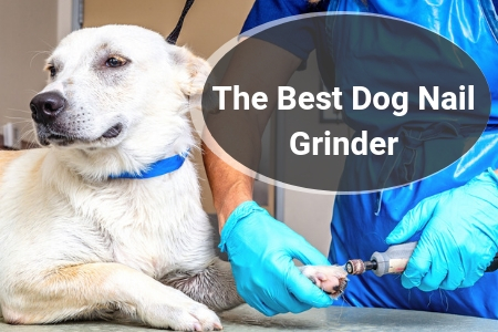 The Best Dog Nail Grinder