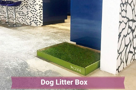 Dog Litter Box