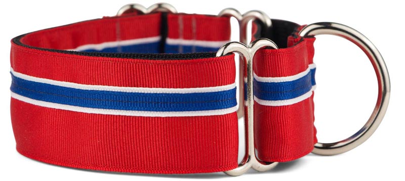 If It Barks Martingale Collar