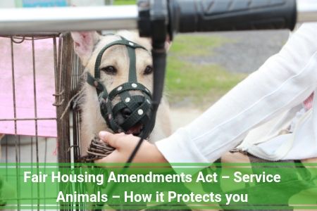 Fair Housing Amendments Act – Service Animals – How it Protects you
