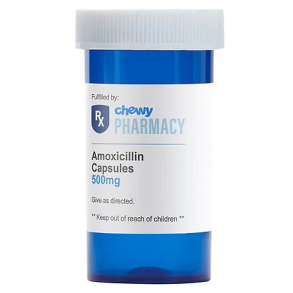 Amoxicillin (Generic) Capsules for Dogs & Cats