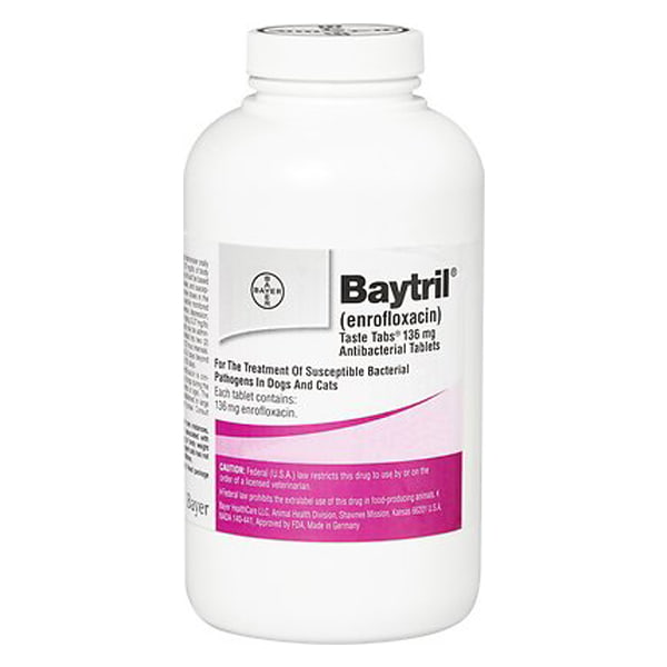 Baytril (Enrofloxacin) Chewable Tablets for Dogs & Cats