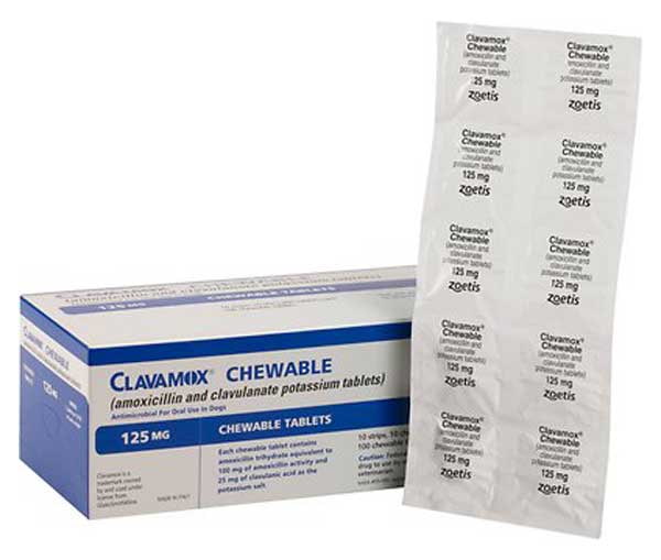 Clavamox (Amoxicillin  Clavulanate Potassium) Chewable Tablets for Dogs & Cats