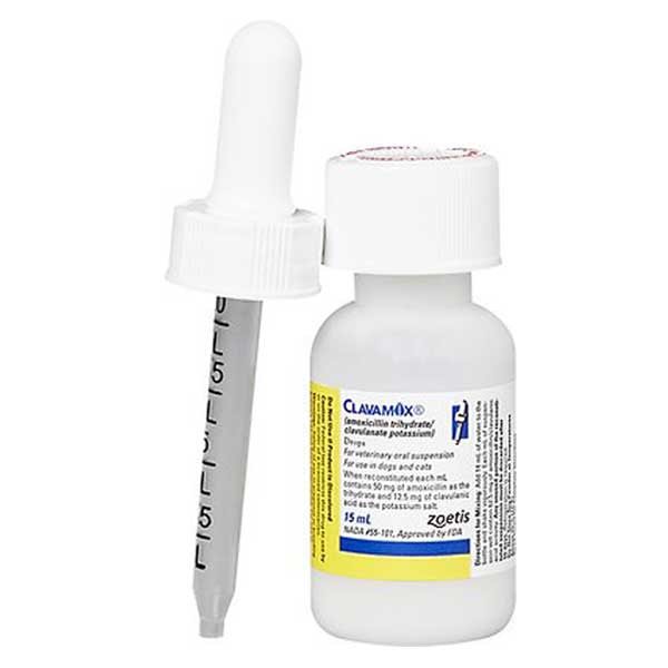 Clavamox (Amoxicillin  Clavulanate Potassium) Oral Suspension for Dogs & Cats, 15-mL