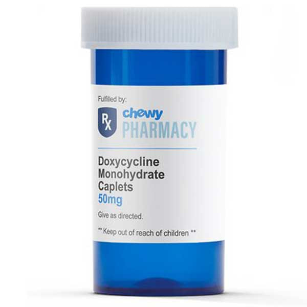 Doxycycline Monohydrate (Generic)